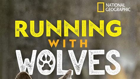 Run With The Wolfs Review 2024